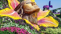 Tickets to Miracle Garden or Butterfly Garden or Global Village 