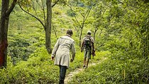 Heeloya Village Trek from Kandy