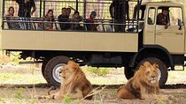 FULL DAY TAXI ONLY to VALLÉ OR CASELA.