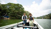 Kandy City Day Tour with a verified tour guide
