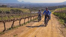 Cape Town: E-bike Wineland tour half-day