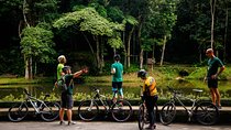 Mountain bike Tijuca Rain Forest