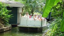 Peacocks, Presidents and Puzzles - The Winter Park Walking Tour + Boat