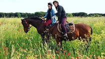 Horse Sanctuary & Trail Ride