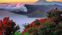 Bromo Ijen Tour From Bali
