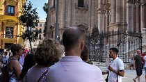 Private Walking Tour in Málaga