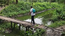 Walk the Kolkata Wetlands: Green Eye Candy