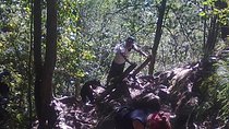 Skeleton Gorge to Maclears Beacon. Table Mountain hike