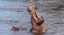 3 Day Safari from Arusha: Serengeti and Ngorongoro