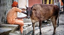 Photo Tour In Holy Varanasi 