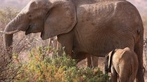 5 day safari Tarangire Serengeti and Ngorongoro crater