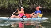 Kayak to the Heart of the National Park