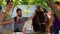Award-winning Classic Horseback Ride (max. 6 riders)