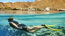 Paradise Island : Full–Day Snorkeling and Island Tour