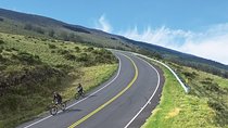 Best Haleakala Downhill Self-Guided Bike Tour with Maui Sunriders