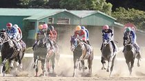 A tour to enjoy Japanese official gambling (horse racing, bicycle racing, pachinko)