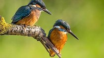 Day Tour to Anawilundawa Wetland Sanctuary