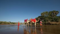 4 Days - Samburu & Aberdares National Park Safari