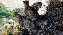 2 Days Lake Nakuru Safari