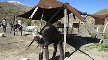 4 Days Private Morocco Sahara Desert Tour from Fes to Marrakech 