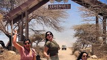 7-Days And 6 night Manyara, Tarangire, Serengeti & Ngorongoro 