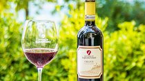 Guided tour in San Miniato and wine tasting!