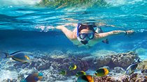 Bali Blue Lagoon Snorkeling Experience