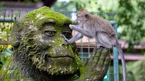 Half Day Ubud Tour: Ubud Unique Spots