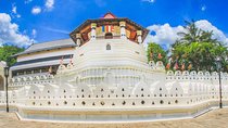 3-Day Hill country tour of Sri Lanka