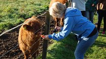 5-Day Best of Scotland Tour from Edinburgh