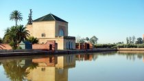 Marrakech: Half-Day Desert Quad & Dromedary Tour