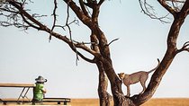 2-Day and 1 night Ngorongoro and Lake Manyara Tours