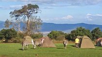 3 Days Tanzania Budget Safari