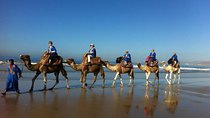 Agadir Sunset Camel Ride with Delicious Couscous & Barbecue 