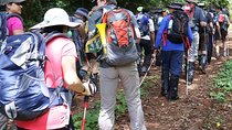 1 Day Kilimanjaro Hike Machame Route