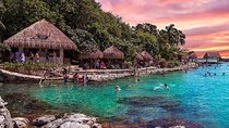 Tour Xcaret All inclusive from Cancun (Transportation included) 