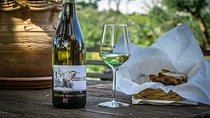 Frascati Wine Tasting Tour: The Flavors of the Roman Countryside