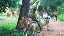 Lifestyle Tour with Homestay - 2 Days 1 Night