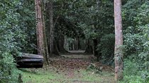 Shoebill And Fox Weaver Tracking Tour