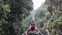 1 Day Canopy walk way in Nyungwe Natioinal park 