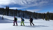 A Snowshoeing Day in Vitosha Mountains