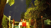 Rooftop Romantic Dinner - 4 Courses Set Meal & Wine