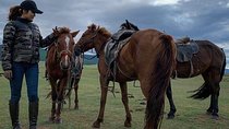 12-day Gobi and Central Mongolia Adventure