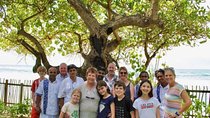 Family Getaway With Kingfisher Tours | 8 Days