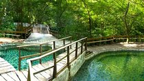 SUPER COMBO BUENA VISTA: 7 Activities 1 day + Cultural experience