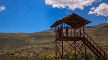 Birdwatching at Huacarpay Wetland in Cusco