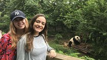 Chengdu Discovery: Panda Base and Giant Buddha Day Trip