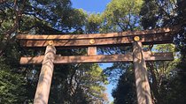 Tokyo Half-day Customized Private Tour