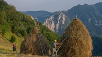 Local experience from Brasov - Transylvanian villages and Bran Castle
