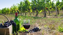 9-hour Cultural Tour in Athens and Nemea Wine Tour shore excursion